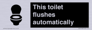 This toilet flushes automatically